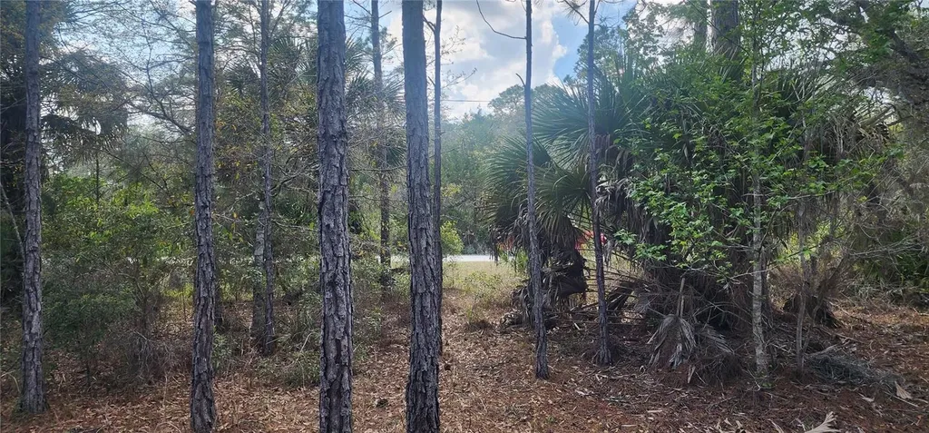 18164 Retriever Road Weeki Wachee FL 34614