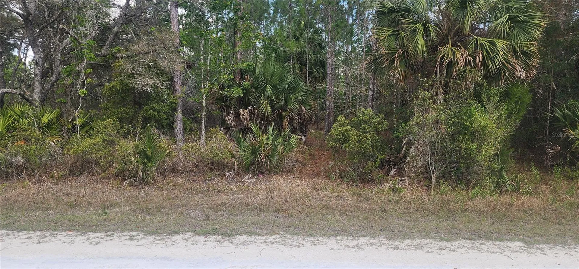 18164 Retriever Road Weeki Wachee FL 34614