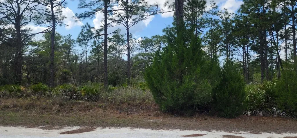 18119 Parrot Road Weeki Wachee FL 34614