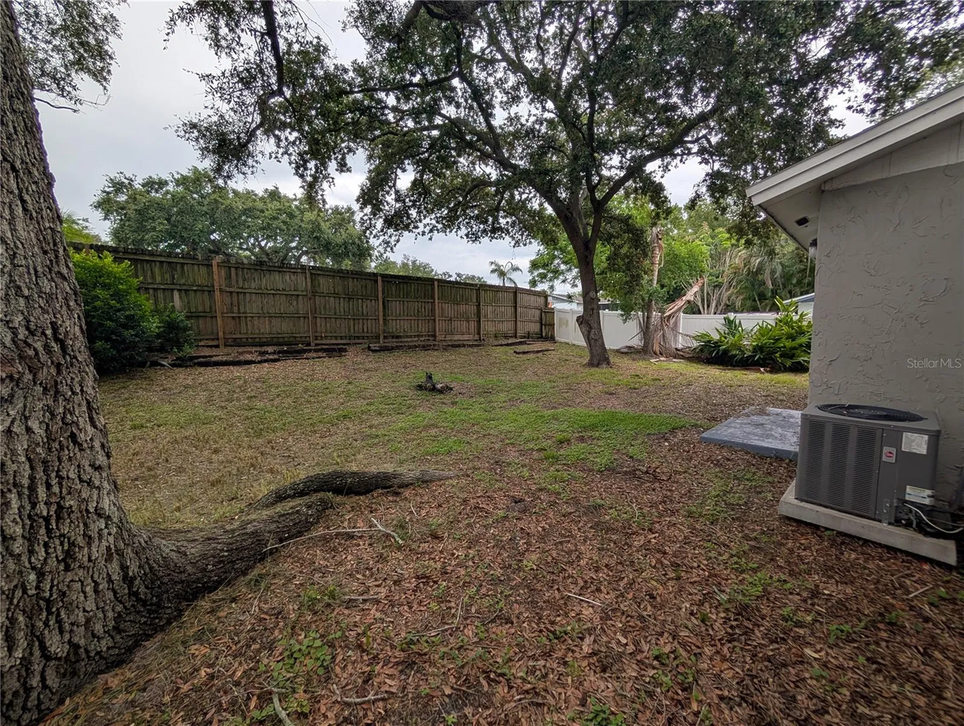 2804 Applewood Drive Clearwater FL 33759