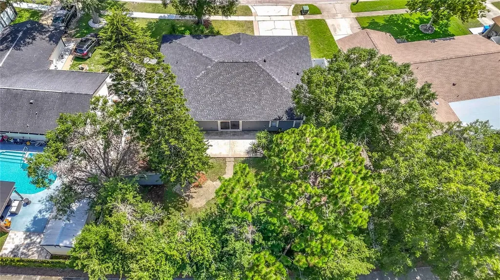 4113 Hollow Hill Drive Tampa FL 33624