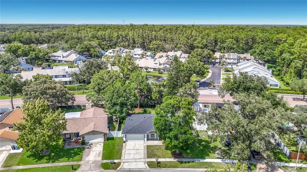 4113 Hollow Hill Drive Tampa FL 33624