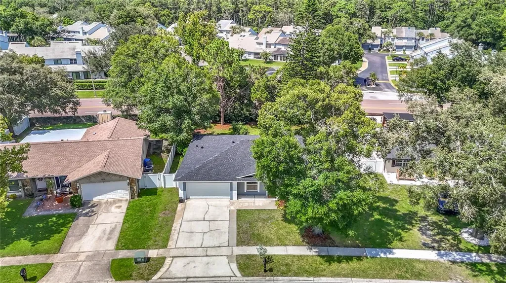4113 Hollow Hill Drive Tampa FL 33624