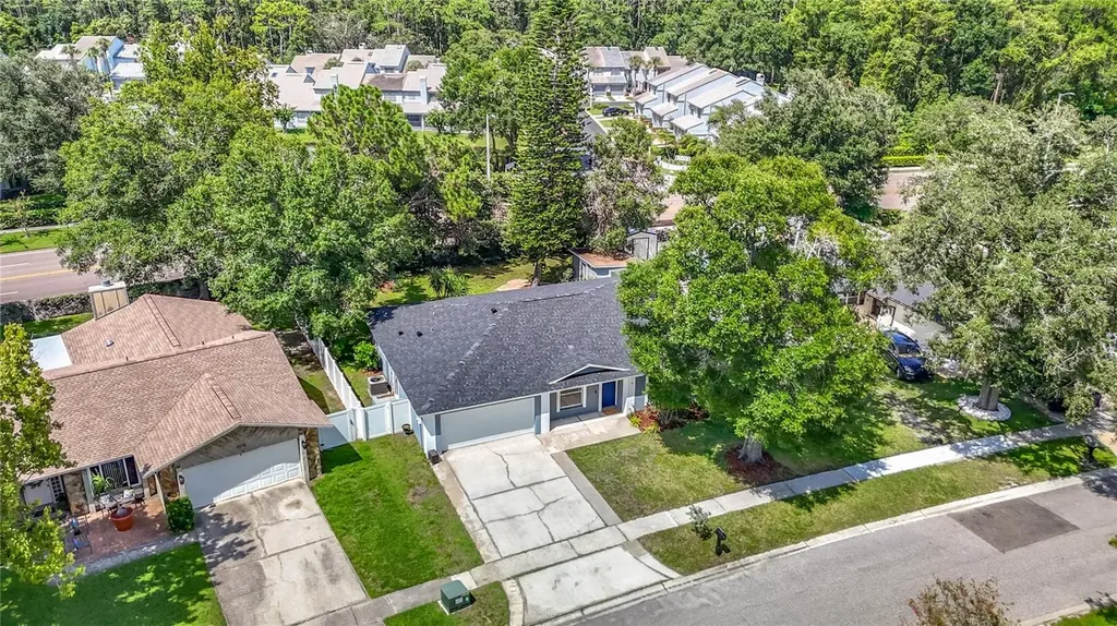 4113 Hollow Hill Drive Tampa FL 33624