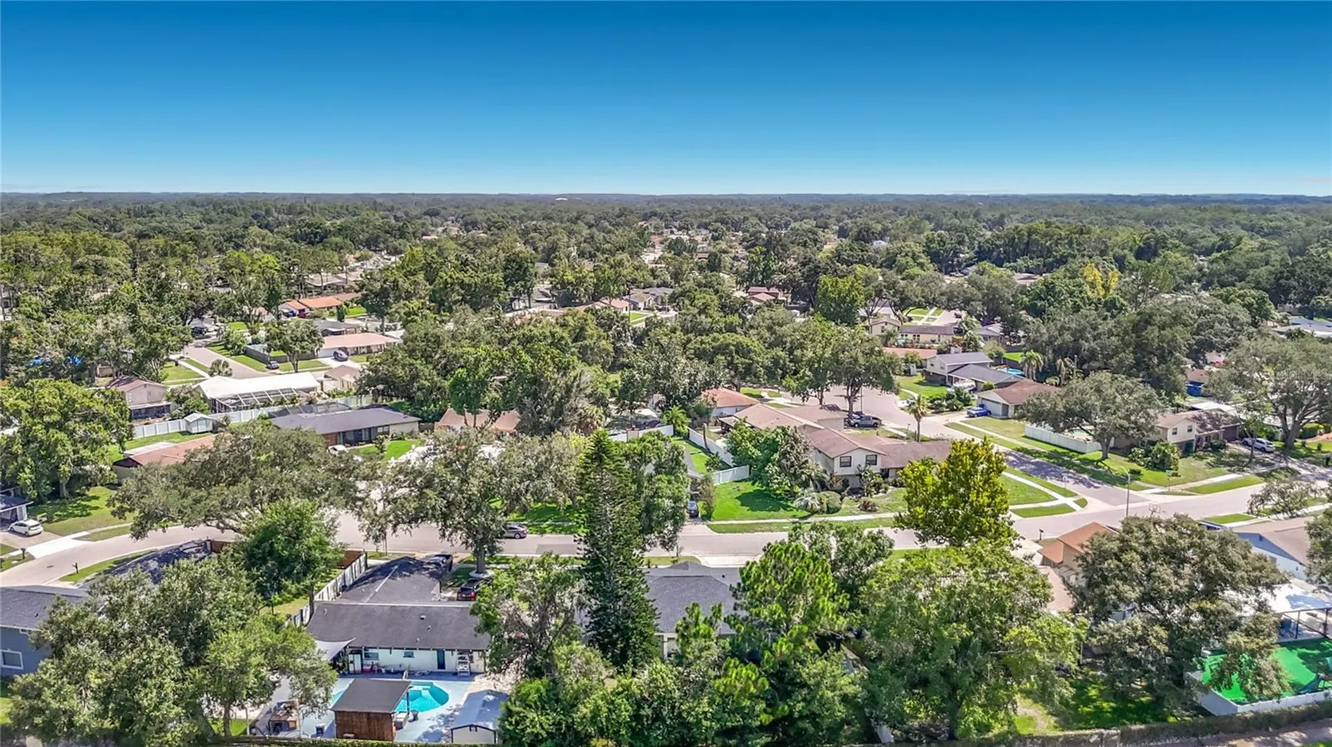 4113 Hollow Hill Drive Tampa FL 33624