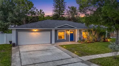 4113 Hollow Hill Drive Tampa FL 33624