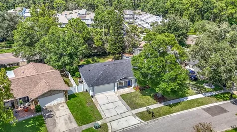 4113 Hollow Hill Drive Tampa FL 33624