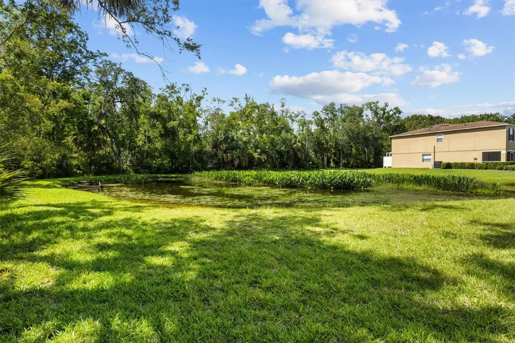 4143 Winding River Way Land O Lakes FL 34639