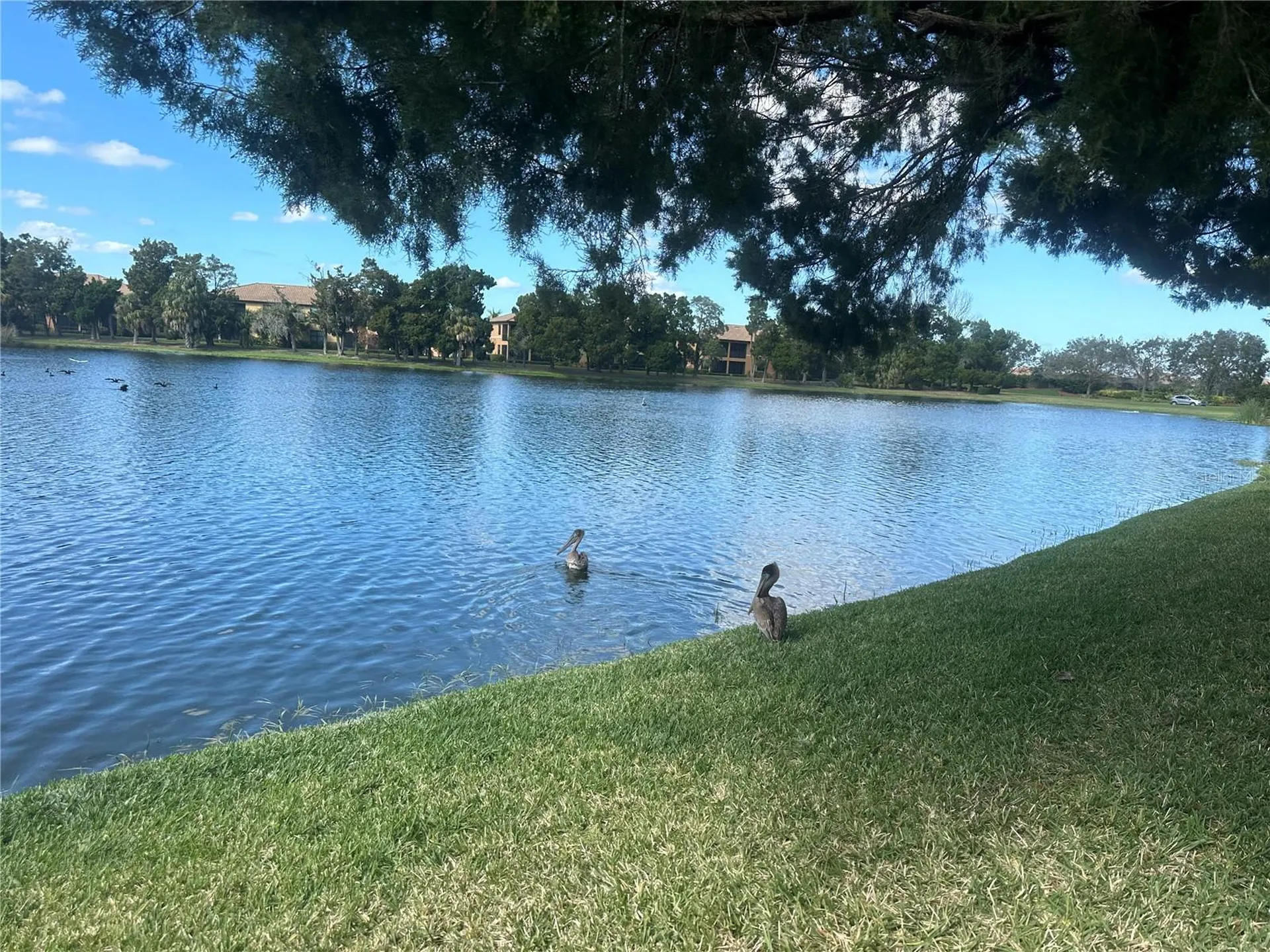 220 Cape Harbour Loop Bradenton FL 34212