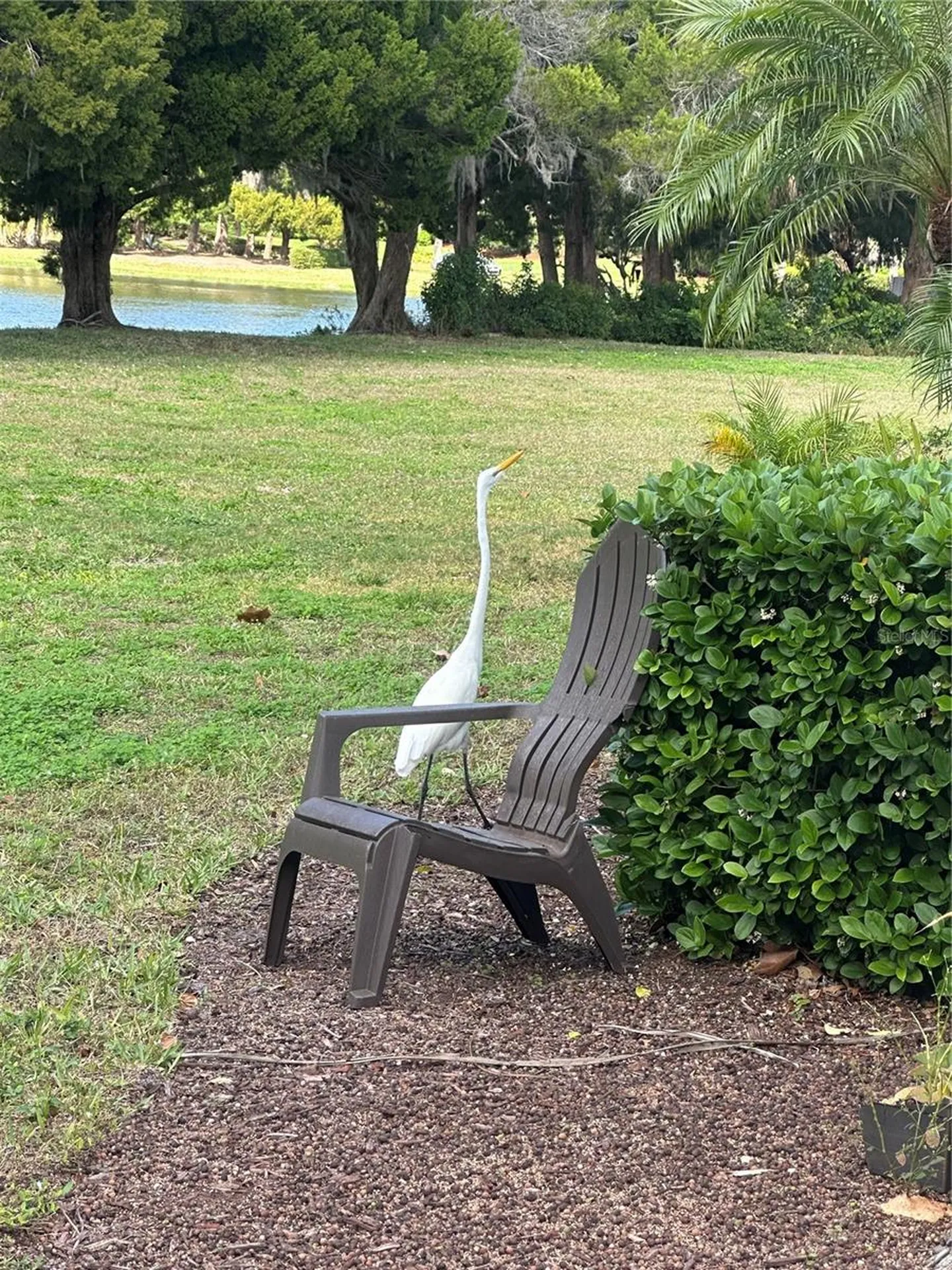 220 Cape Harbour Loop Bradenton FL 34212