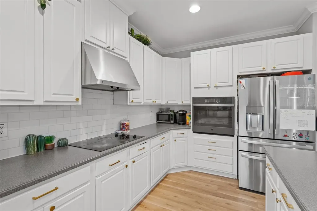 27015 Firebush Drive Wesley Chapel FL 33544