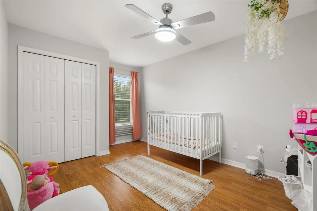 27015 Firebush Drive Wesley Chapel FL 33544