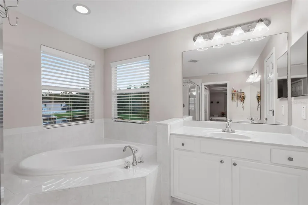 27015 Firebush Drive Wesley Chapel FL 33544