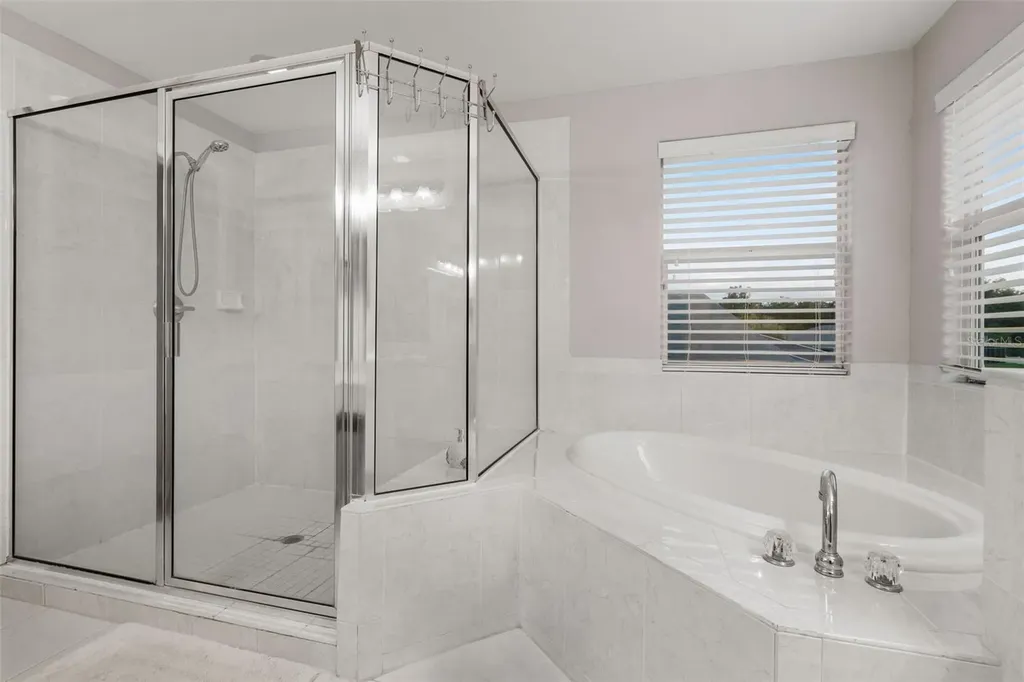 27015 Firebush Drive Wesley Chapel FL 33544