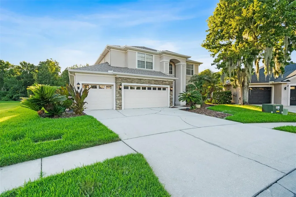 27015 Firebush Drive Wesley Chapel FL 33544