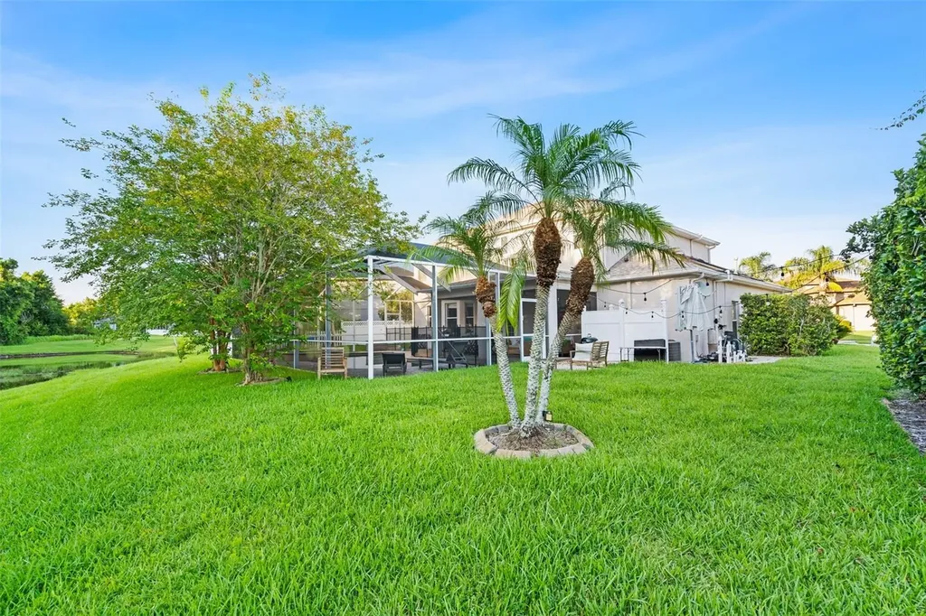27015 Firebush Drive Wesley Chapel FL 33544