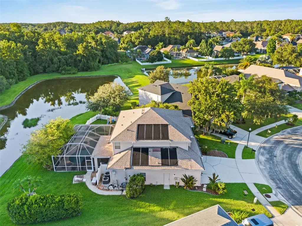 27015 Firebush Drive Wesley Chapel FL 33544