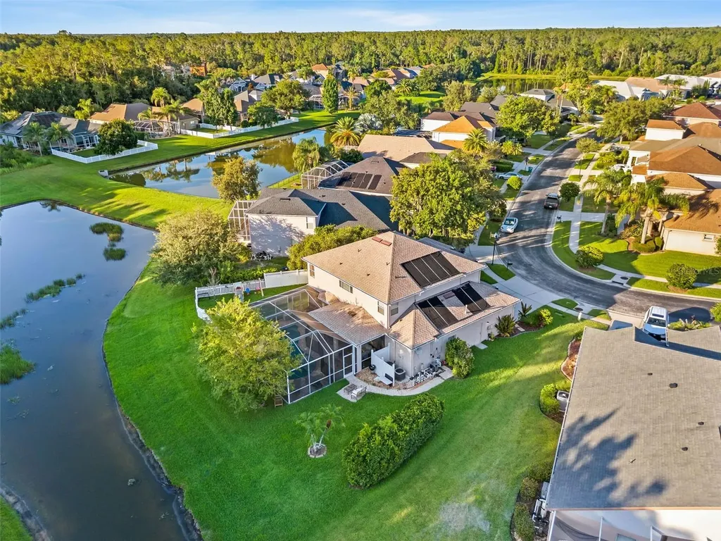 27015 Firebush Drive Wesley Chapel FL 33544