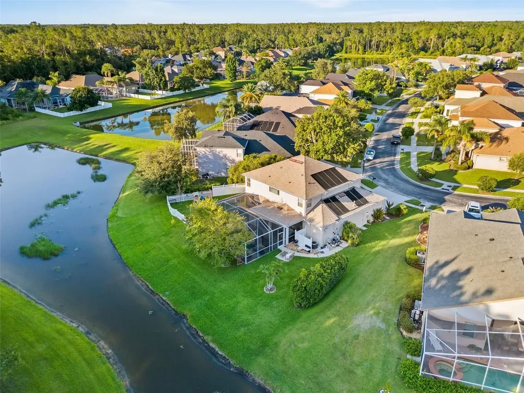 27015 Firebush Drive Wesley Chapel FL 33544