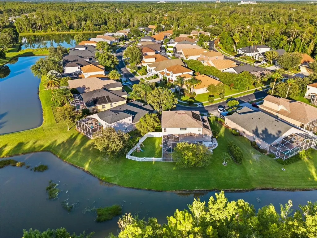 27015 Firebush Drive Wesley Chapel FL 33544