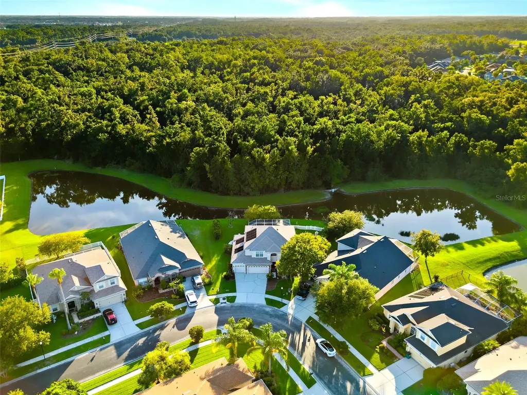 27015 Firebush Drive Wesley Chapel FL 33544