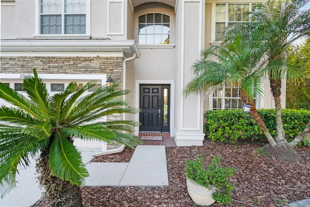 27015 Firebush Drive Wesley Chapel FL 33544