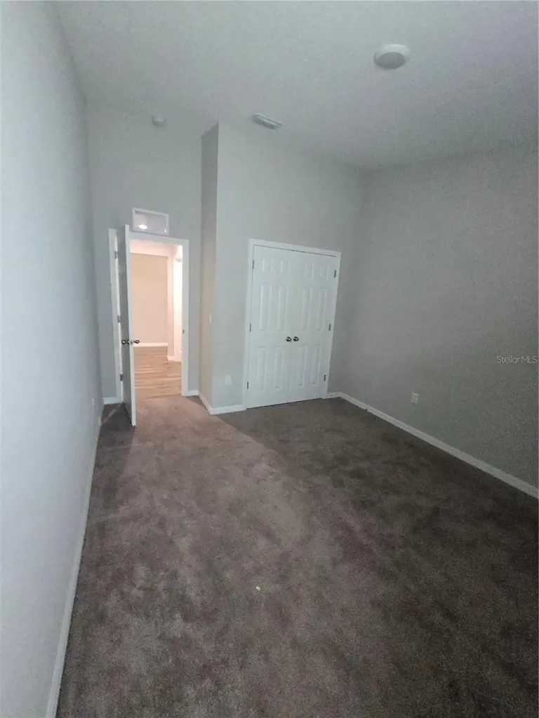 12730 Mangrove Forest Drive Riverview FL 33579