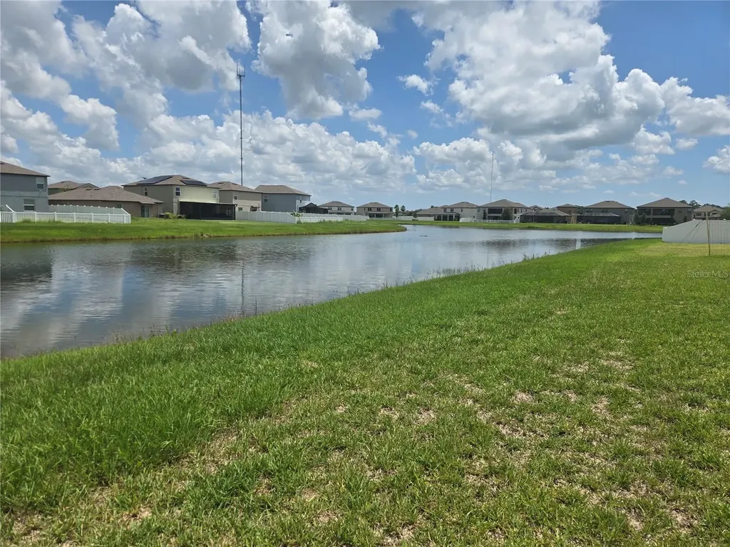 12730 Mangrove Forest Drive Riverview FL 33579