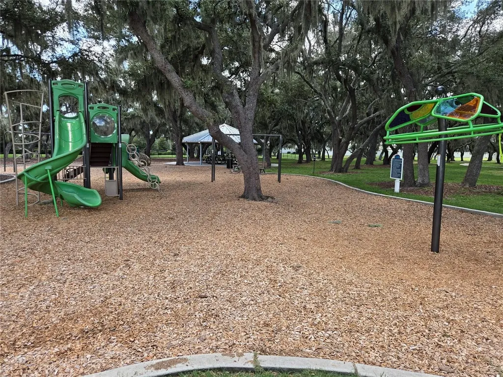 12730 Mangrove Forest Drive Riverview FL 33579