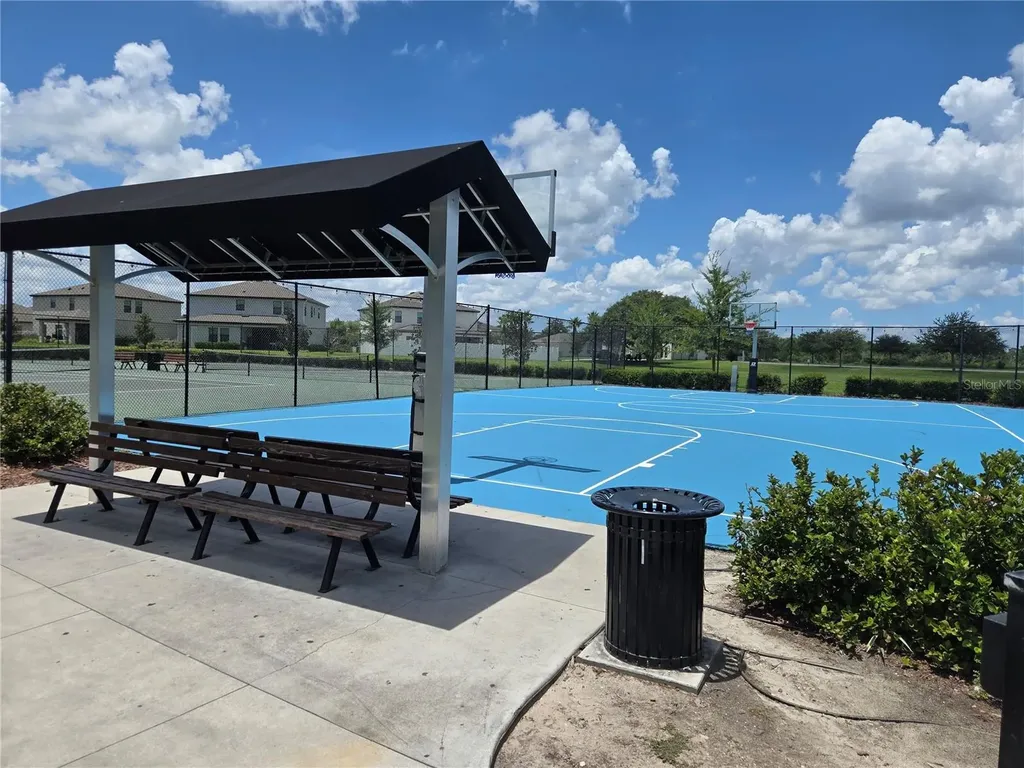 12730 Mangrove Forest Drive Riverview FL 33579