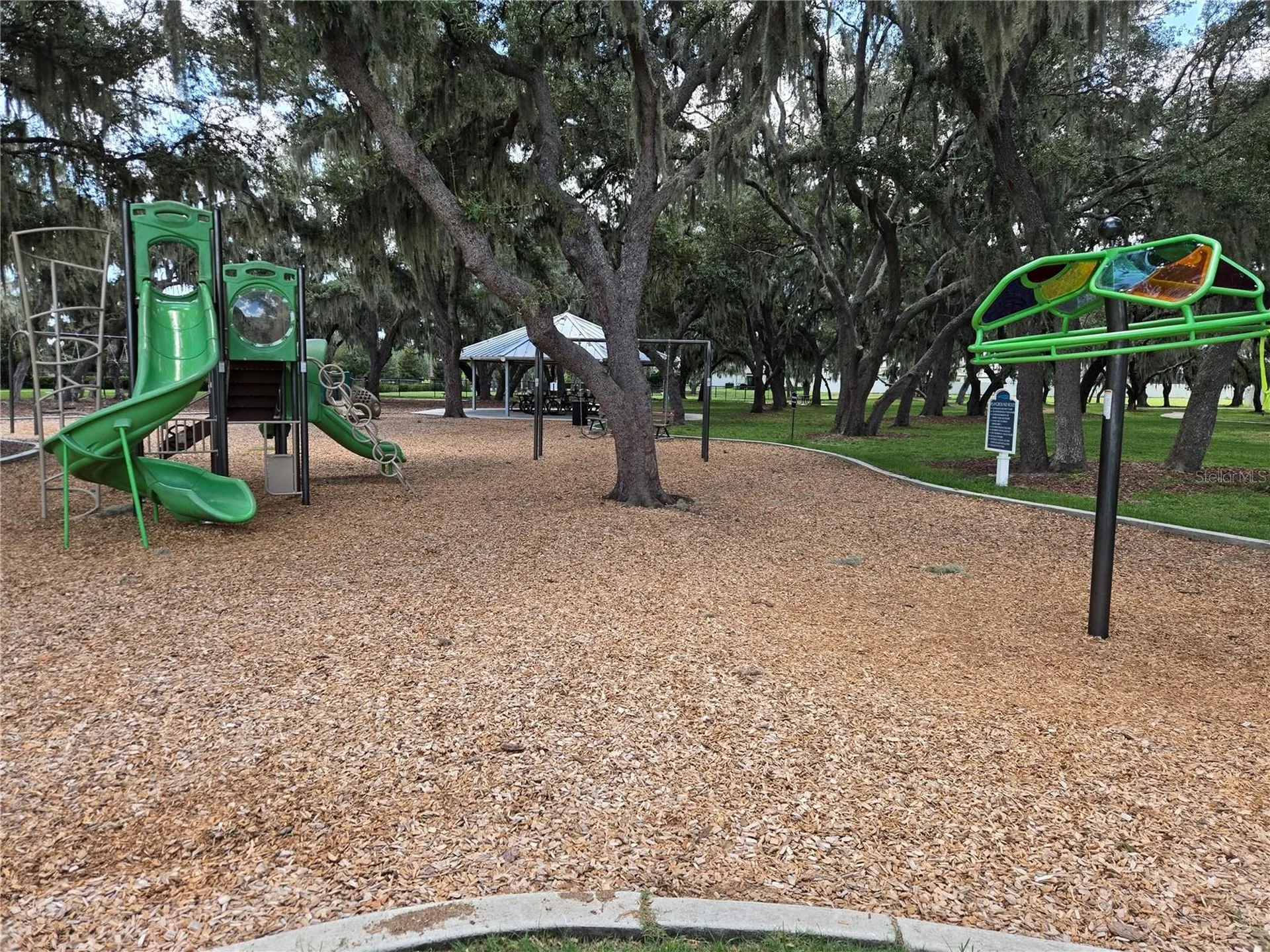 12730 Mangrove Forest Drive Riverview FL 33579