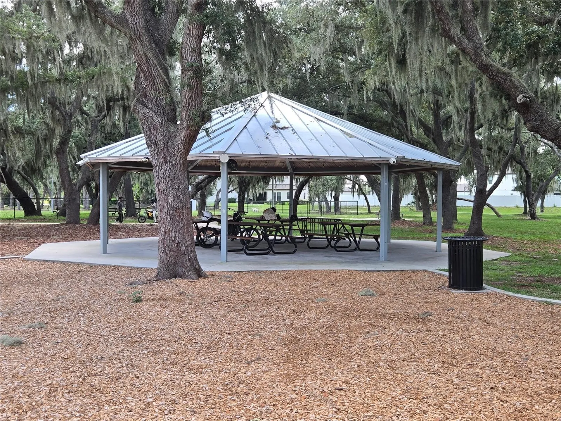 12730 Mangrove Forest Drive Riverview FL 33579