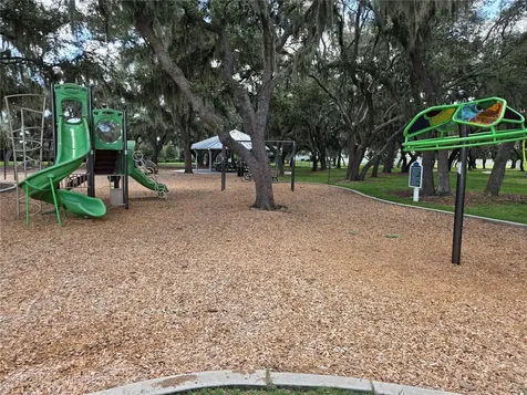 12730 Mangrove Forest Drive Riverview FL 33579
