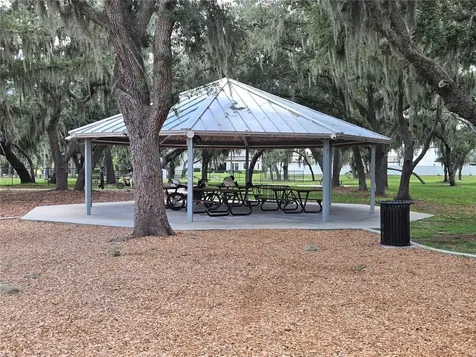 12730 Mangrove Forest Drive Riverview FL 33579