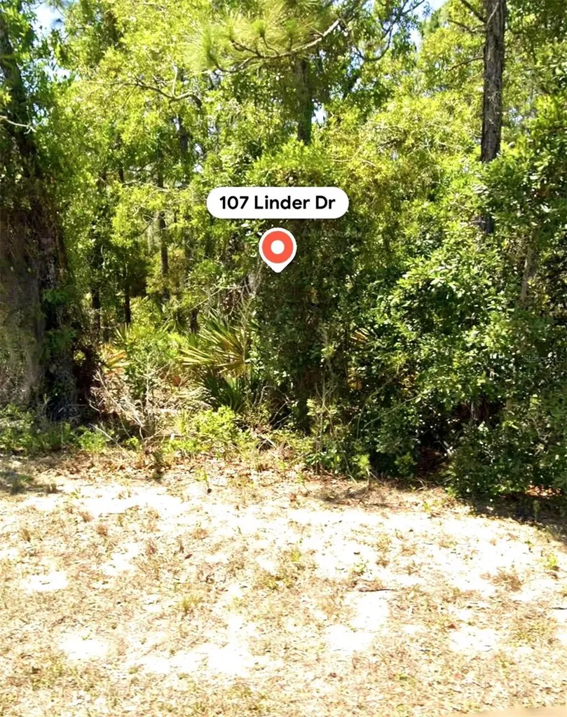 107 Linder Drive Homosassa FL 34446