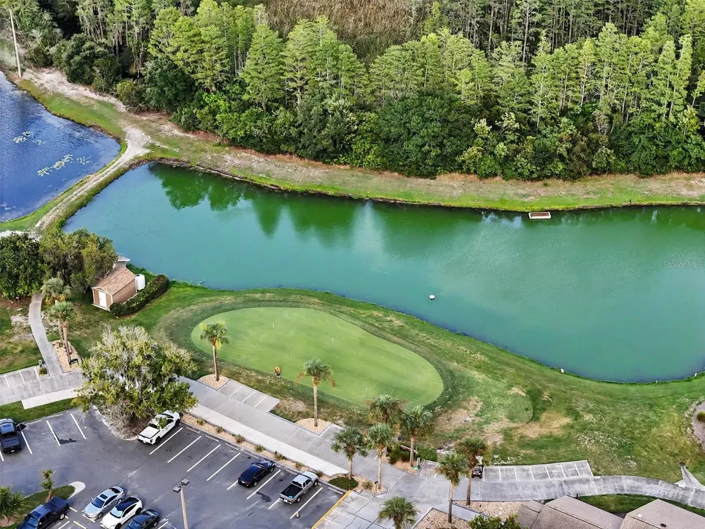 9189 Shadyside Lane Land O Lakes FL 34637