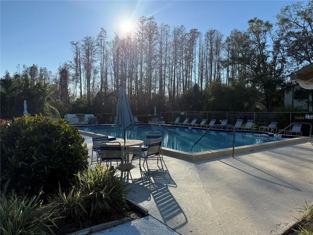 514 Longfellow Court Safety Harbor FL 34695