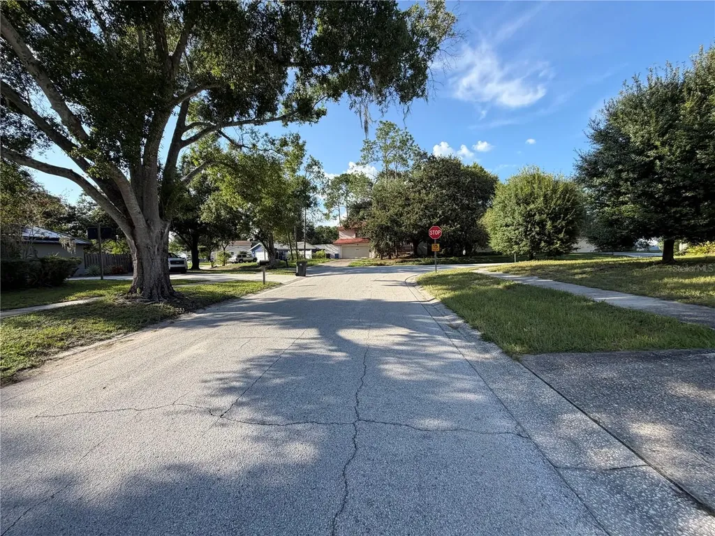 14705 Penguin Place Tampa FL 33625
