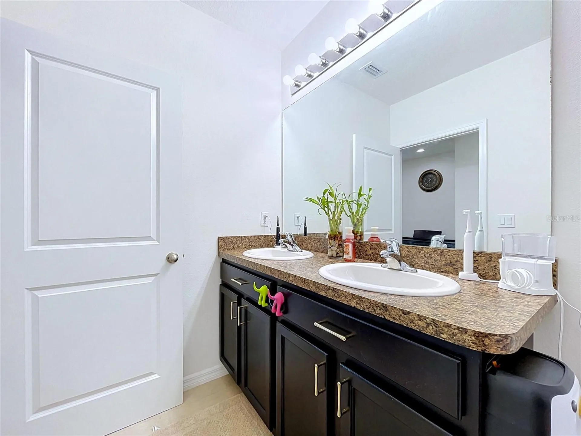 16192 Silent Sands Lane Odessa FL 33556