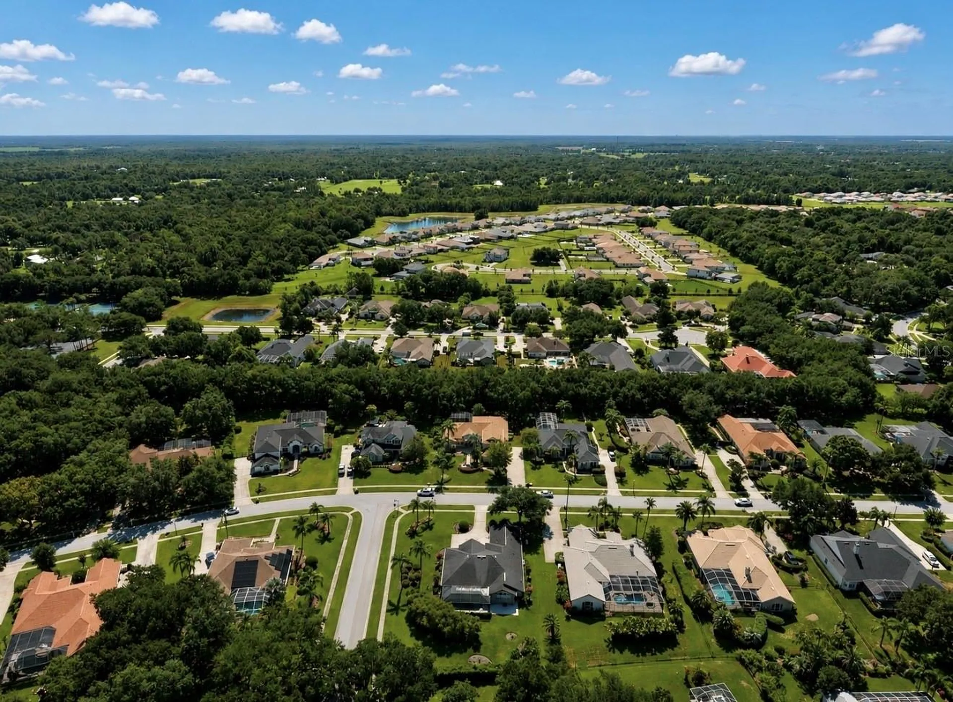 6105 Audubon Manor Boulevard Lithia FL 33547