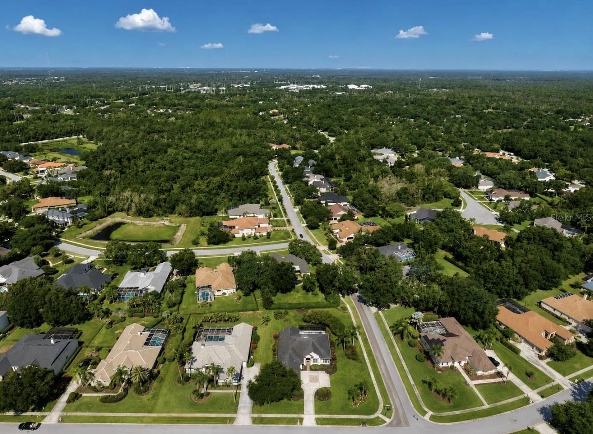 6105 Audubon Manor Boulevard Lithia FL 33547