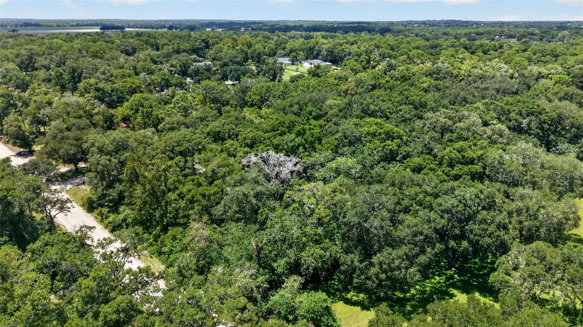 8379 SW 41st Place Road Ocala FL 34481