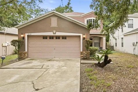 18126 Birdwater Drive Tampa FL 33647