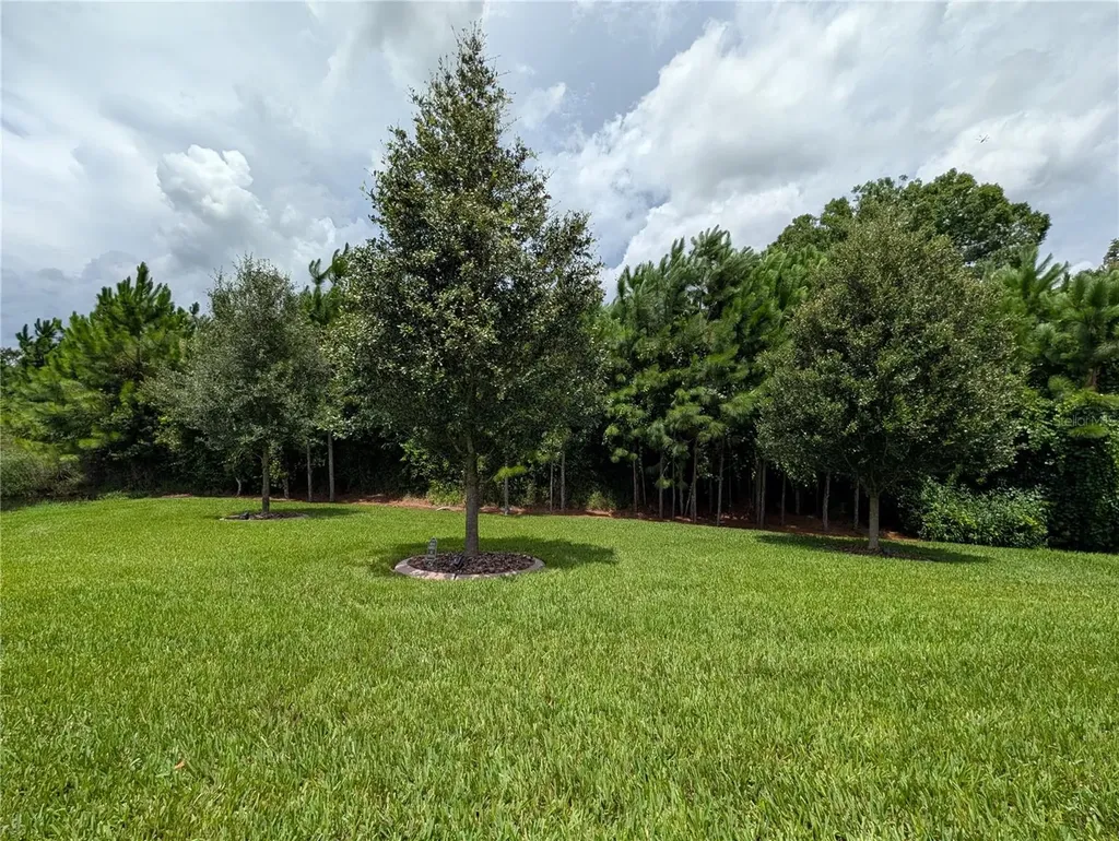16711 Shell Bay Drive Land O Lakes FL 34638