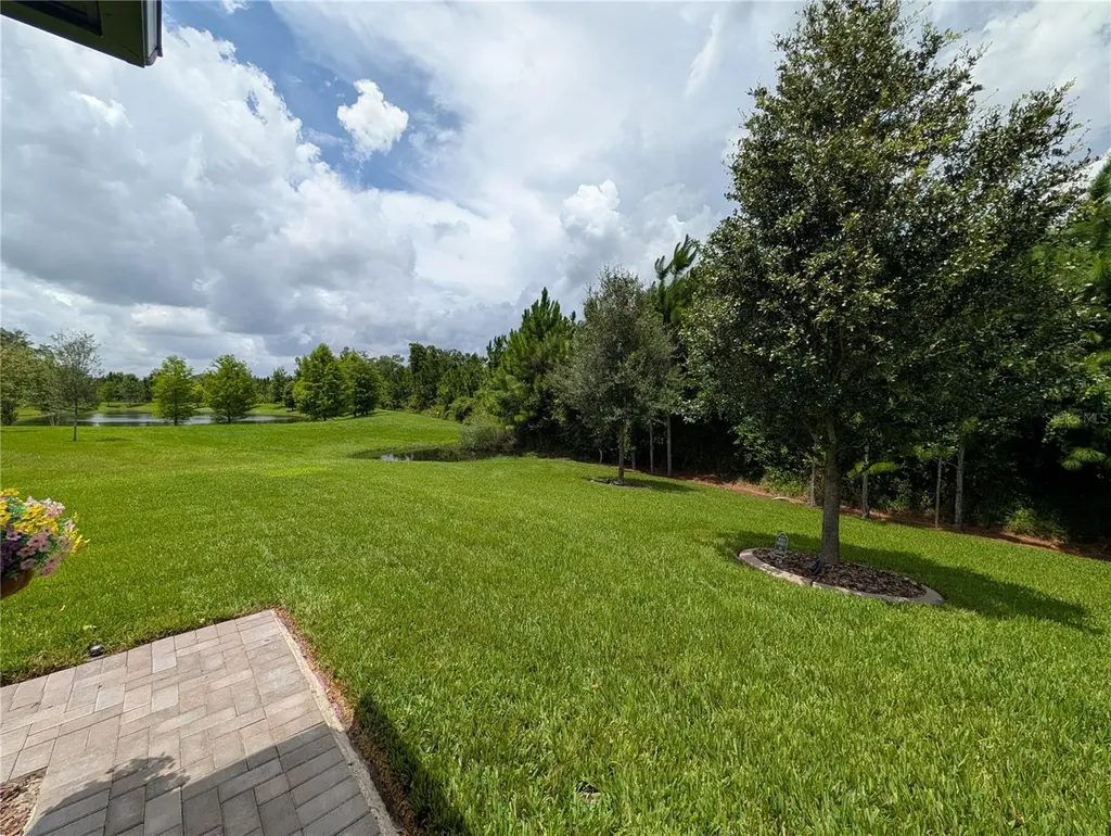 16711 Shell Bay Drive Land O Lakes FL 34638