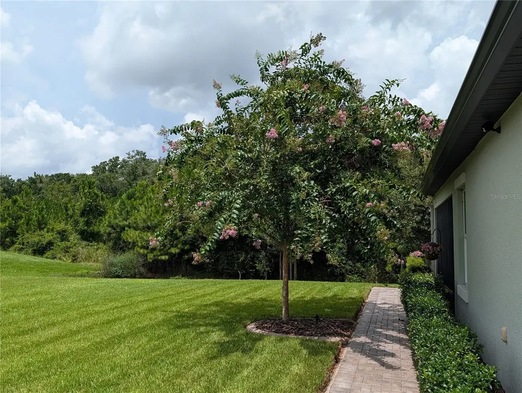 16711 Shell Bay Drive Land O Lakes FL 34638