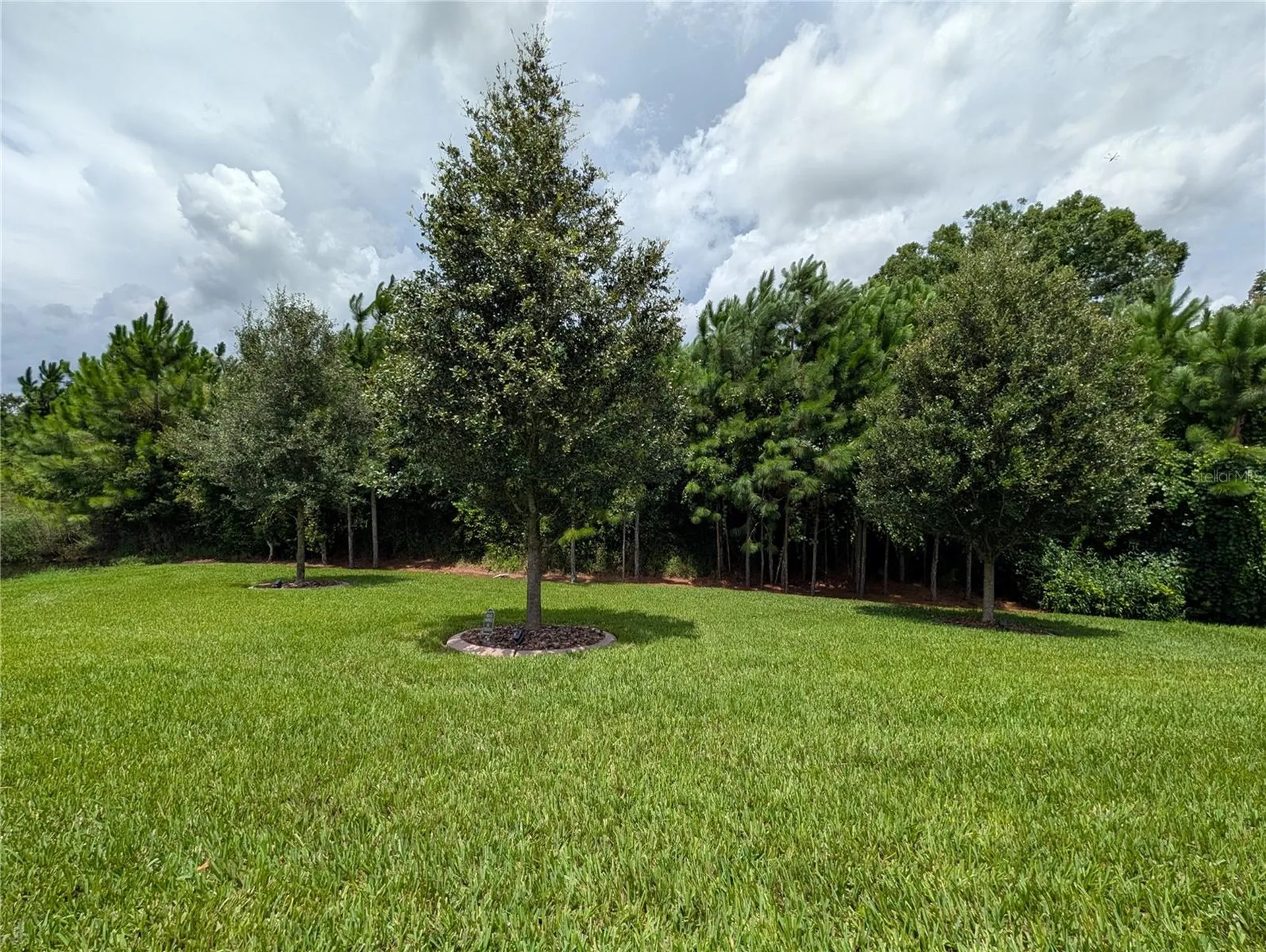 16711 Shell Bay Drive Land O Lakes FL 34638