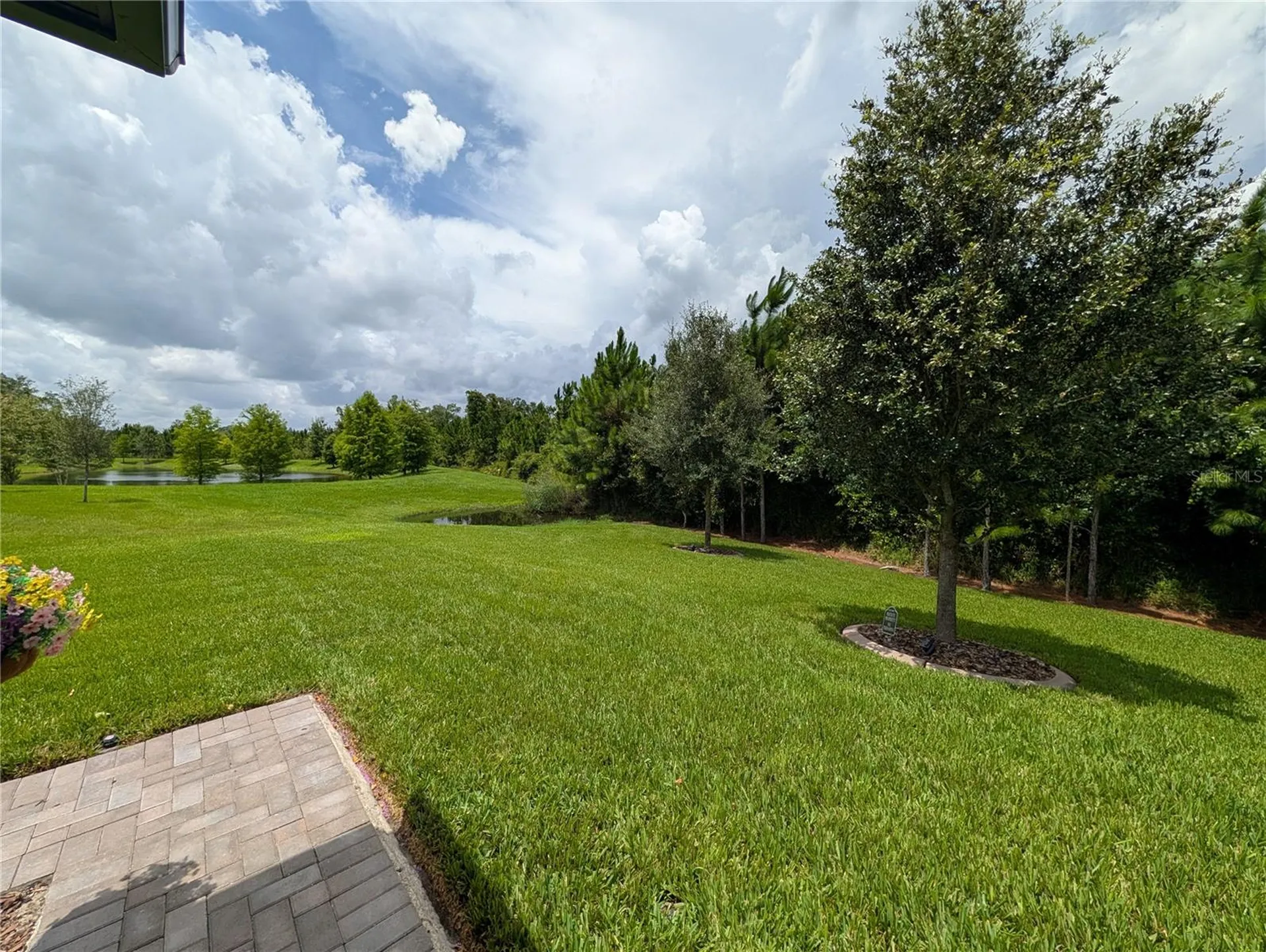 16711 Shell Bay Drive Land O Lakes FL 34638