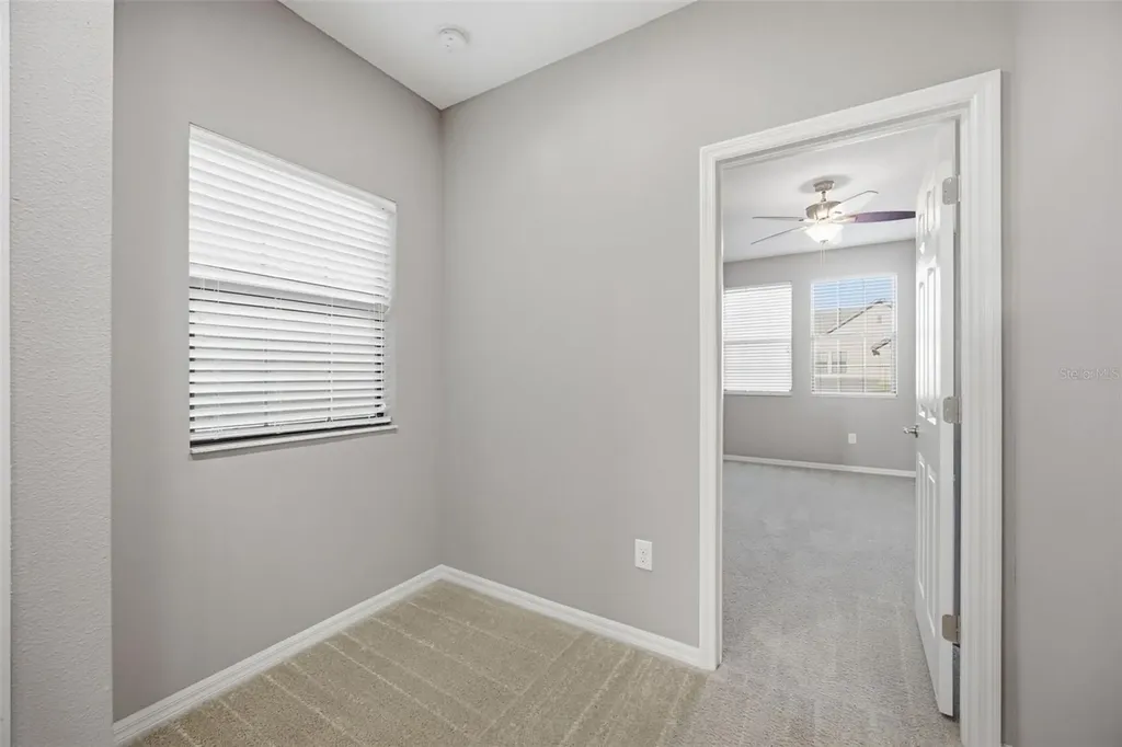 4905 Wandering Way Wesley Chapel FL 33544