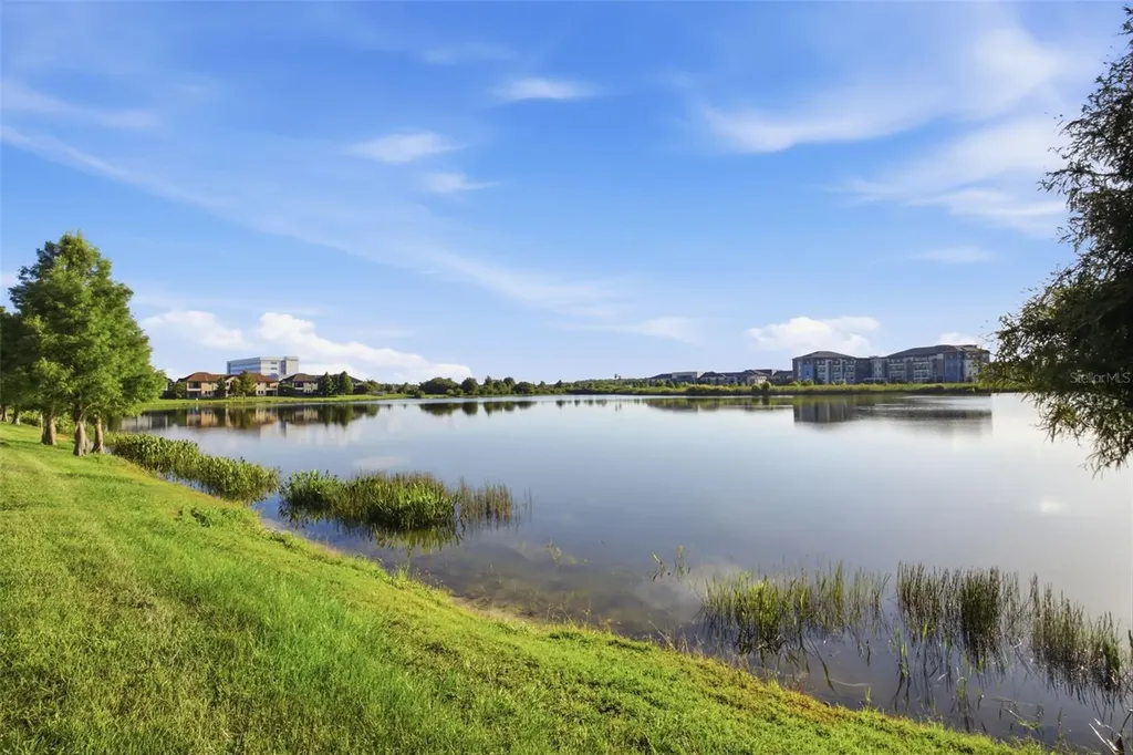 4905 Wandering Way Wesley Chapel FL 33544
